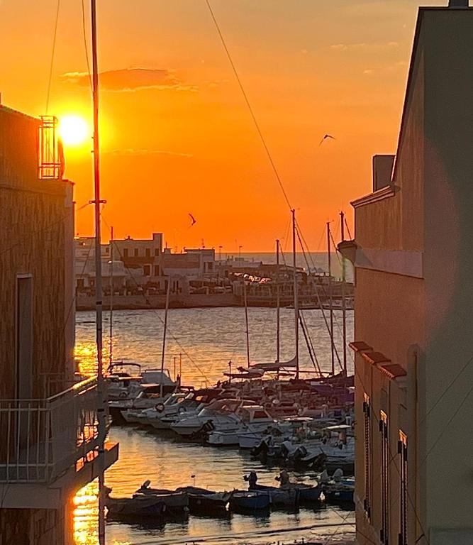 Casa del Mare e Relax - close to the Airport - B&B Bari