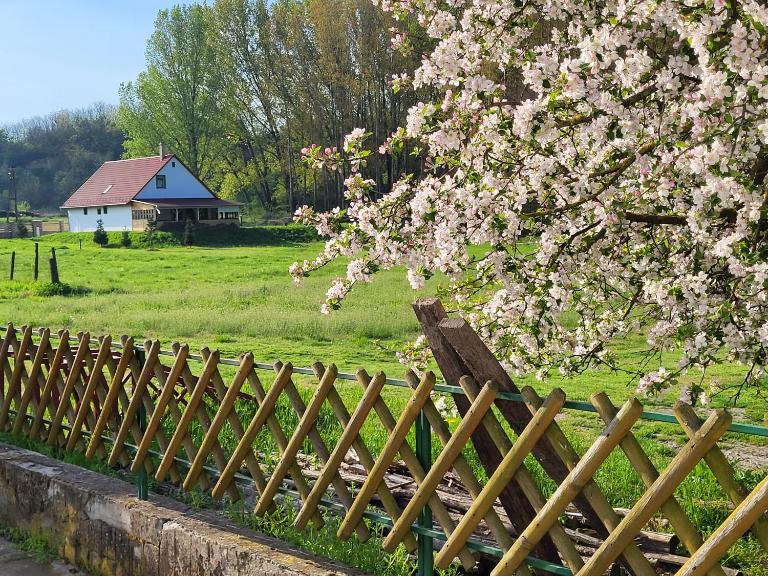 Erdőszéli Vadásztanya - B&B Nemesnádudvar