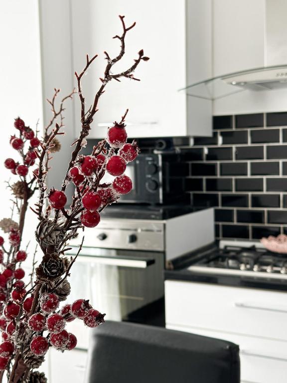 Family Place Fiumicino - Ferienwohnung Fiumicino