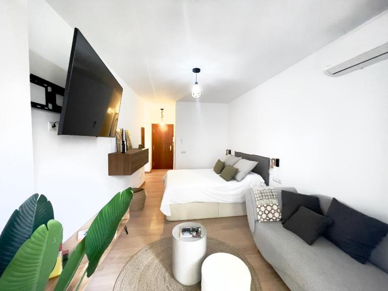 Apolo Studio Marbella - B&B Marbella