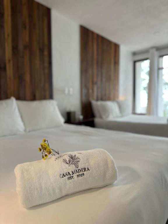 Casa Madera 2B - Chambres d'hôtes Zacatlán