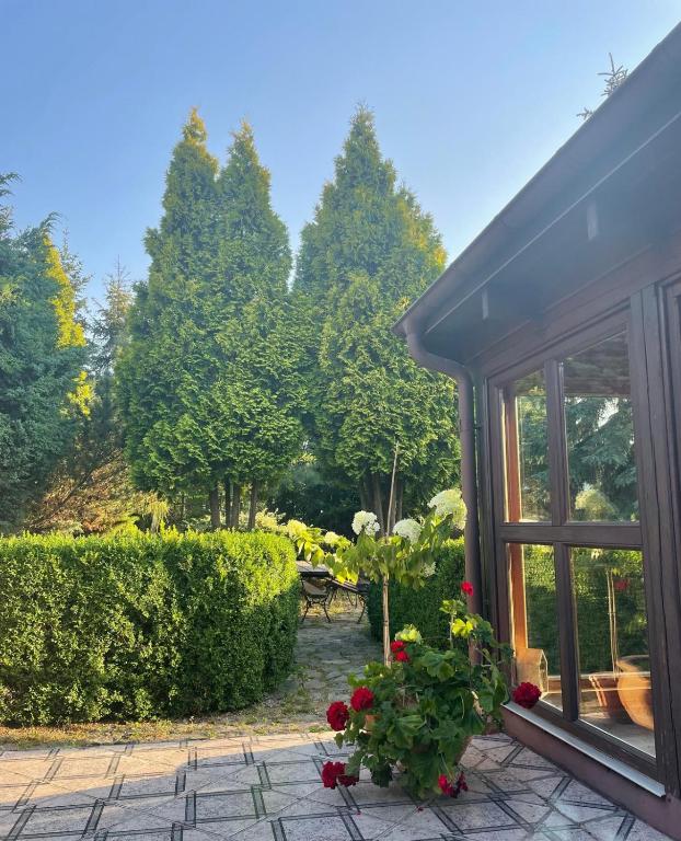 Apartament Skórcz Kociewie Pomorze Gdańskie Agroturystyka - B&B Skórcz
