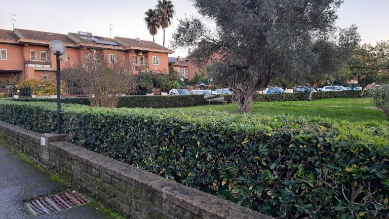 La Mattina - Fiera di Roma - Aeroporto Fiumicino - B&B Roma