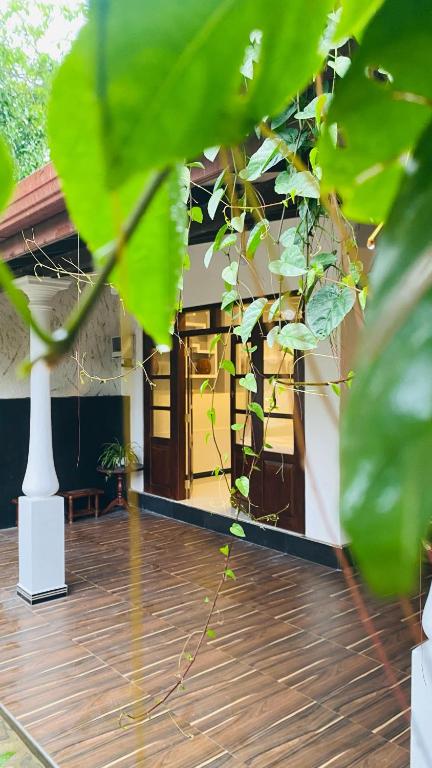 Hasi Villa - Bed and Breakfast Ahangama