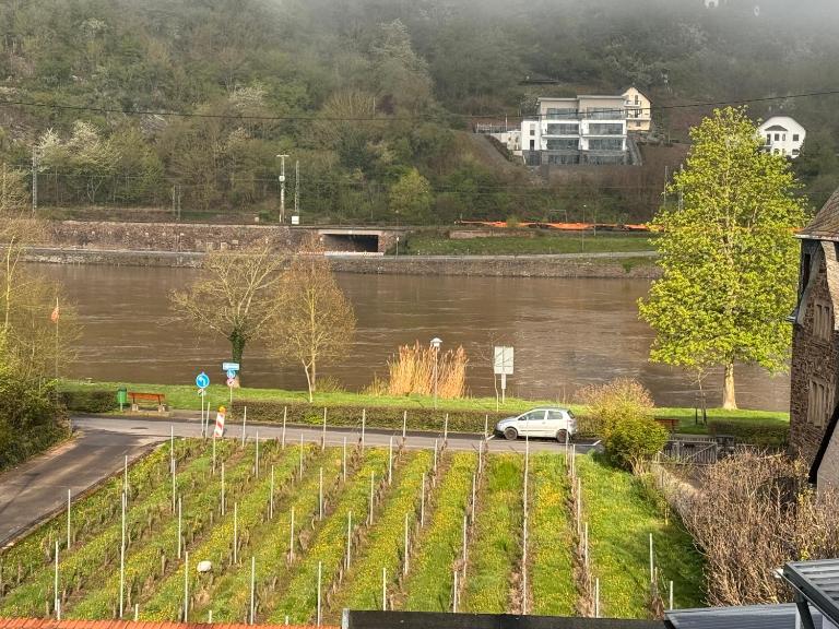 Hakans Moselblick Ferienwohnung - Ferienwohnung Treis-Karden