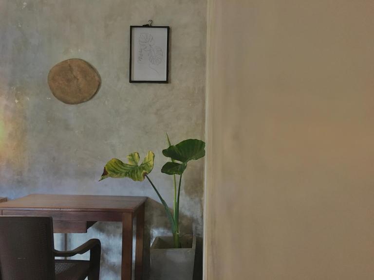 Nethu Freedom Cottage - Ferienwohnung Weligama
