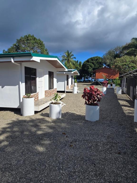 Casa Trogon 2BDRM AC 50M to the Beach - Bed and Breakfast Puerto Jiménez