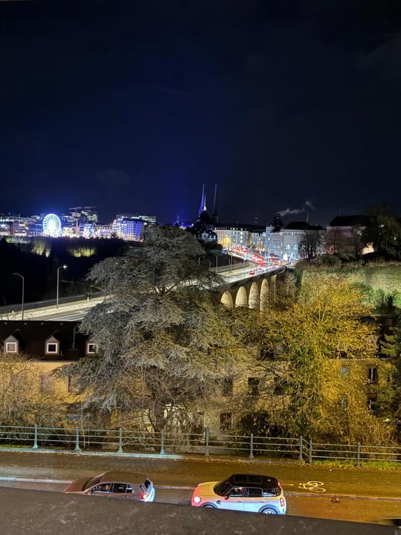 Cosy, Big, Central 2 Bedrooms Flat - Bed and Breakfast Luxemburg
