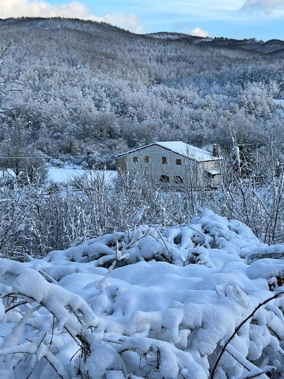 Il Cottage - Chambres d'hôtes Castel di Sangro