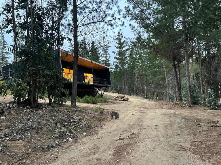 Hermosa casa en el bosque - B&B Algarrobo