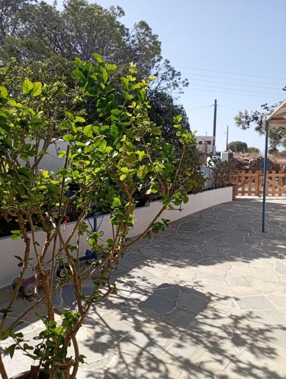 Kalliopi's studio - Chambres d'hôtes Kýthnos