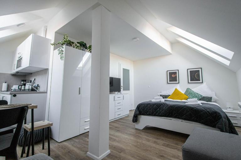 Florenc Charming Studio - B&B Praga