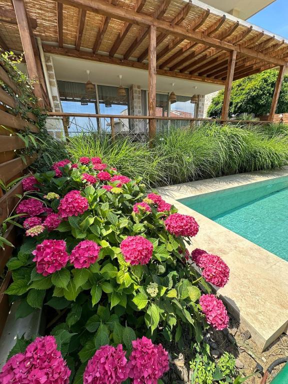 Coral Bay Luxury Villa by Lozenets Luxury Villas - Ferienwohnung Lozenets