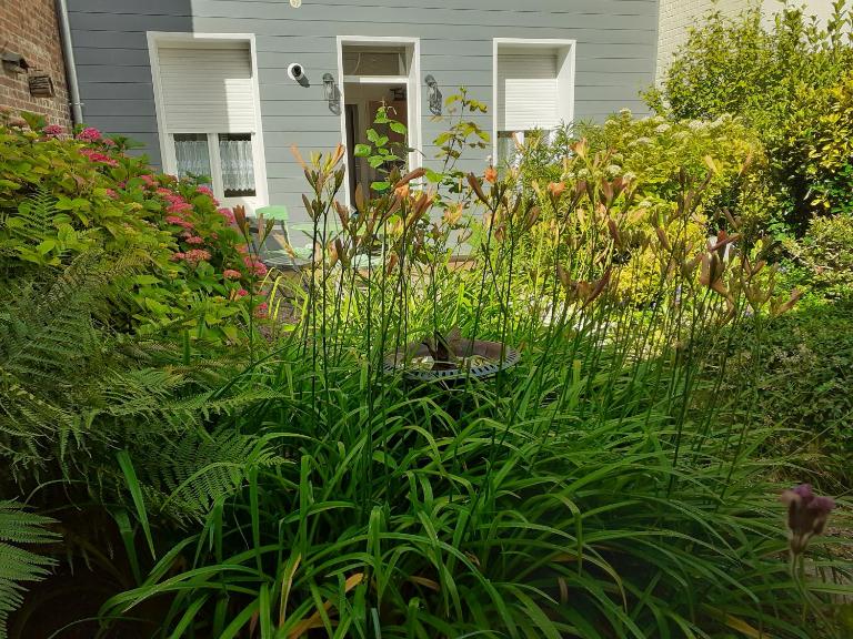 Mon Cocon - B&B Albert