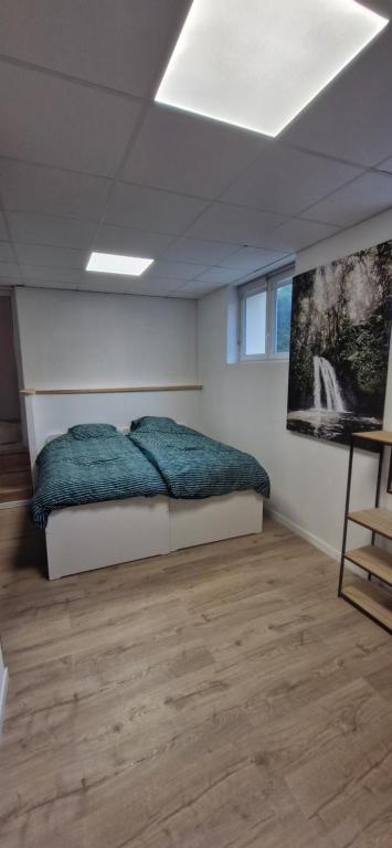 Studio des marmottes - Ferienwohnung Condrieu