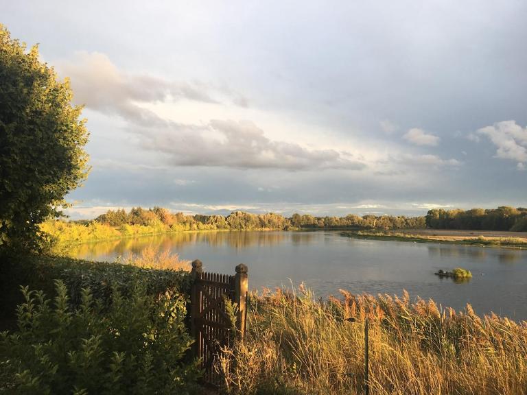 La Ronce - B&B Châteauneuf-sur-Loire