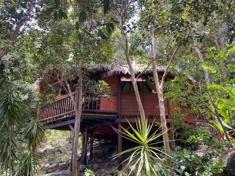 Hutte Karaib Reve de Robinson Une cabane perchee au cœur de la nature tropicale vue mer - B&B Petites Anses