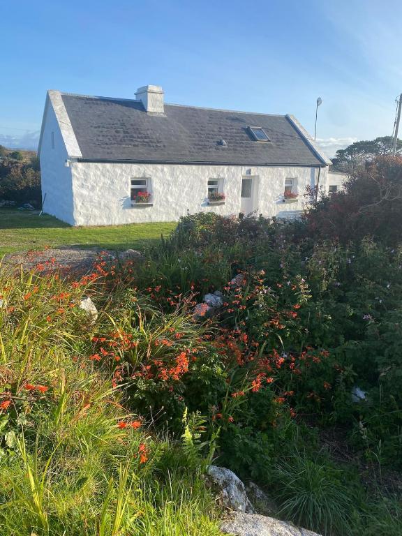 Tigh George - B&B Lettermore