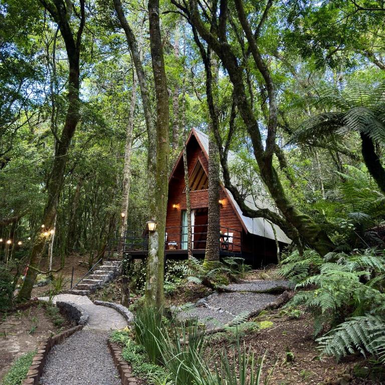 Cabana na Serra Rs - B&B São Francisco de Paula