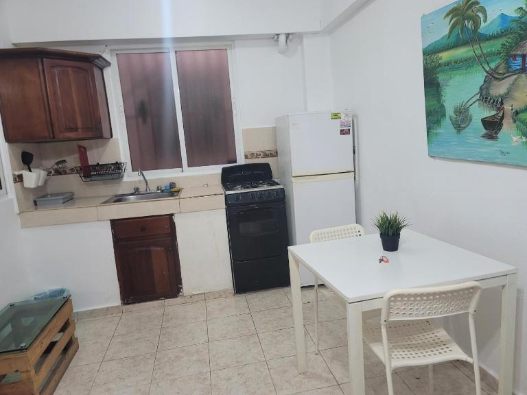 Fantastic apartment 1Rooms zona colonial - B&B Santo Domingo