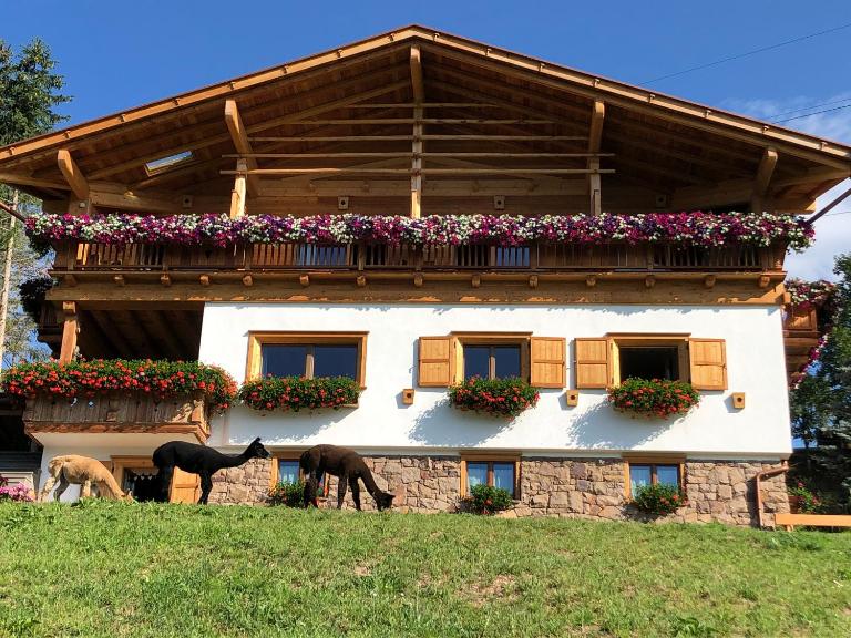 B&B Belvedere - Ferienwohnung Daiano