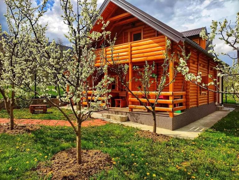 Holiday cottages with pool - B&B Plav