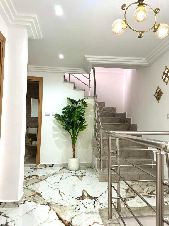 Luxurious Triplex Carthage - B&B Carthage