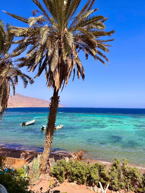 ايارو نوب-iaru nub - B&B Dahab
