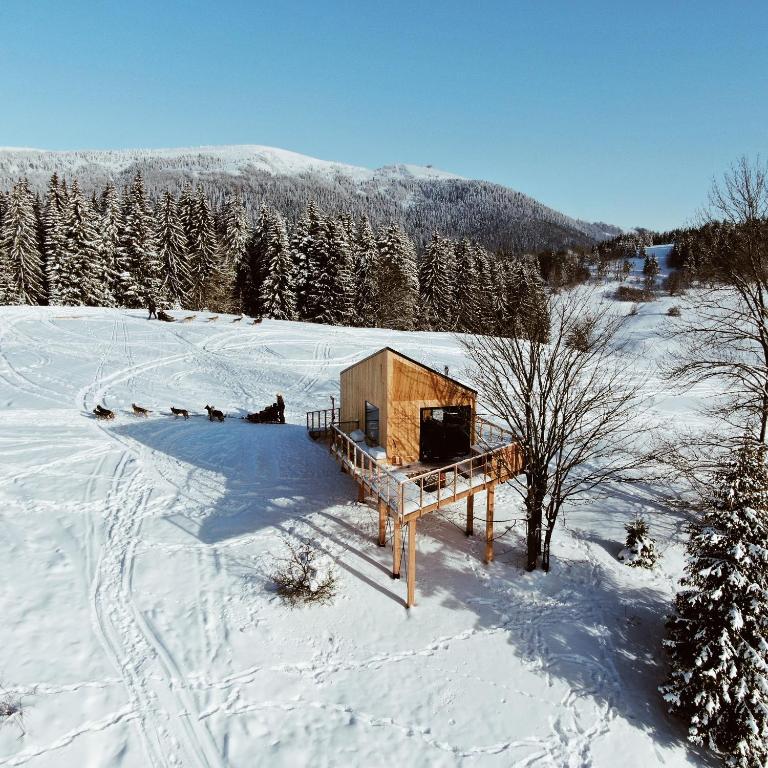 Wild House Donovaly - B&B Donovaly