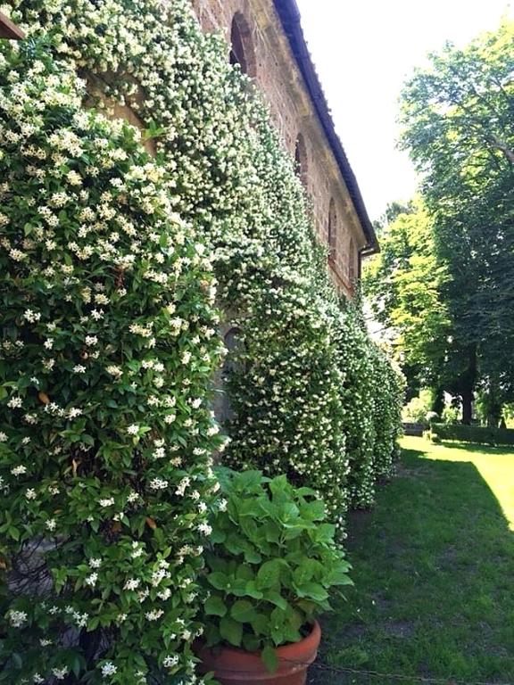 antica Villa con Giardino - Ferienwohnung Bomarzo