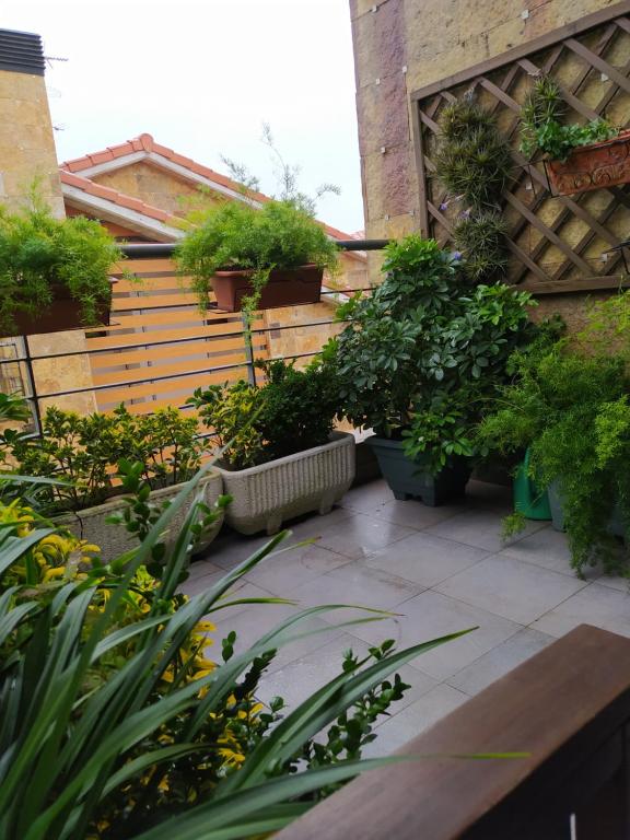 Casa Las Marzas-El Boj - B&B Colombres