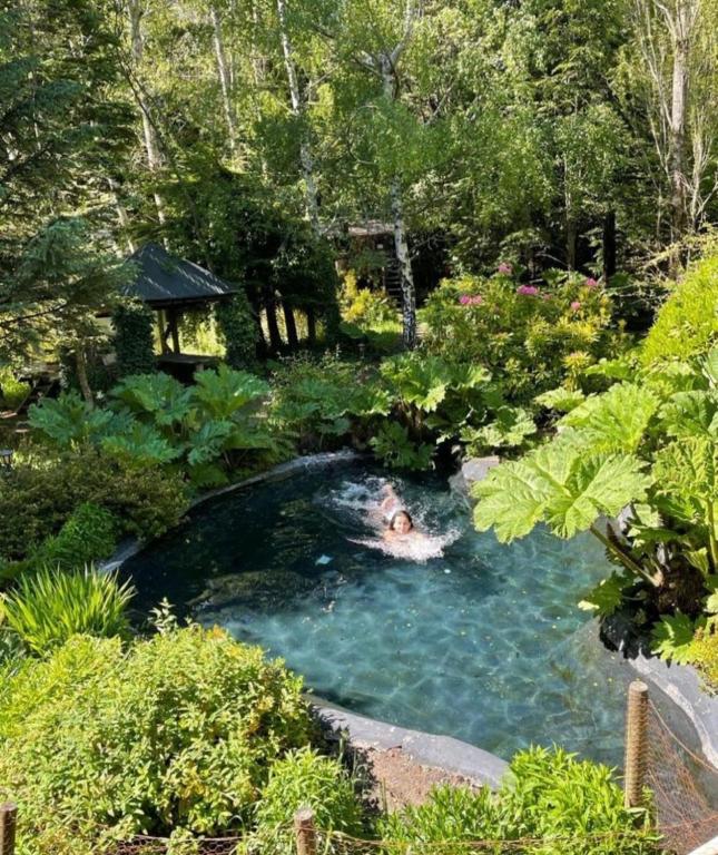 Pucón Magic forest - B&B Pucón