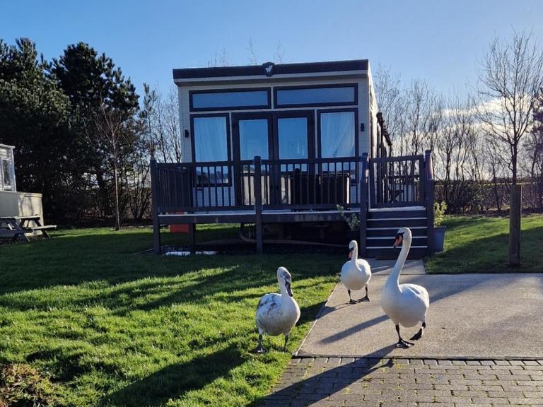 Lake District Willerby Vogue Lodge, Lake View on Haven Lakeland Gold Grade - Chambres d'hôtes Flookburgh