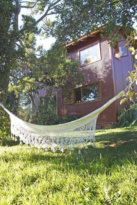 De luz, flores y montaña - B&B Bariloche