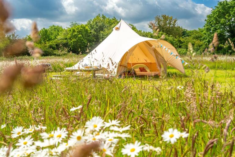 Poppy at Blancas Bell Tents - B&B Ringstead