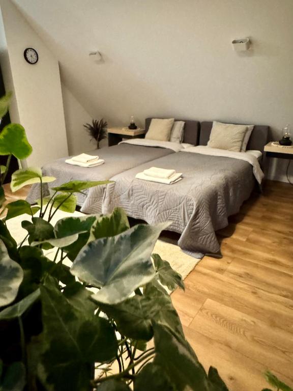 Apartamenty Astor - Księżycowy - B&B Szczawno-Zdrój