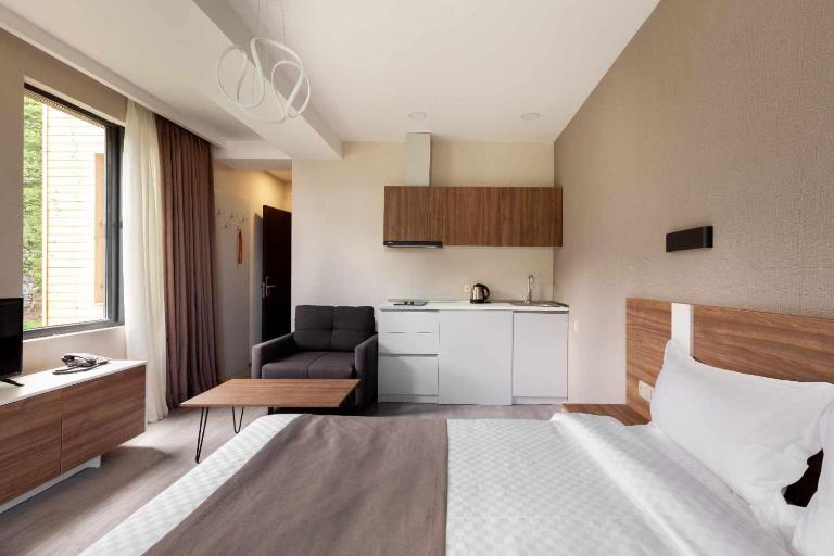 Crystal C Loft Apartment 114 - B&B Bakuriani