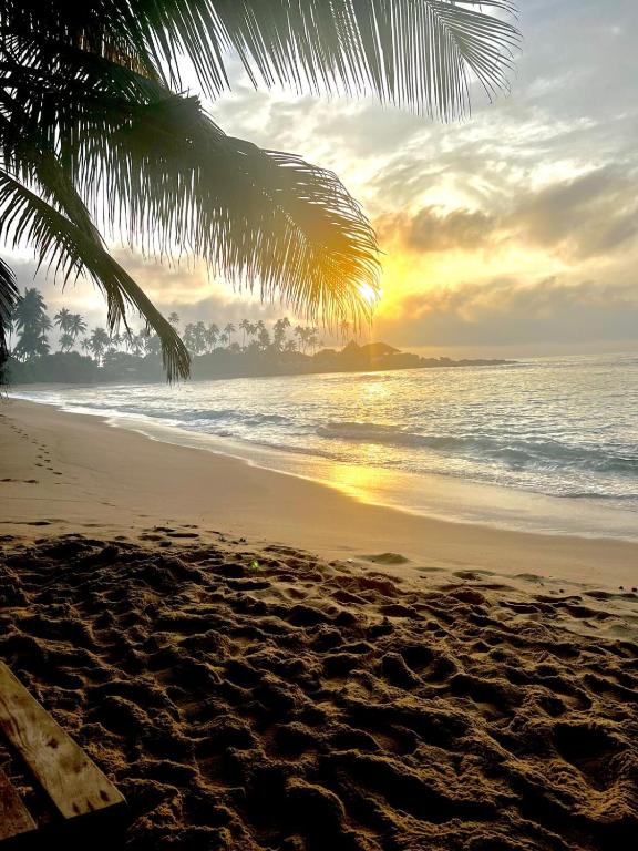 Coconut Palm beach restaurant and rooms - B&B Dikwella