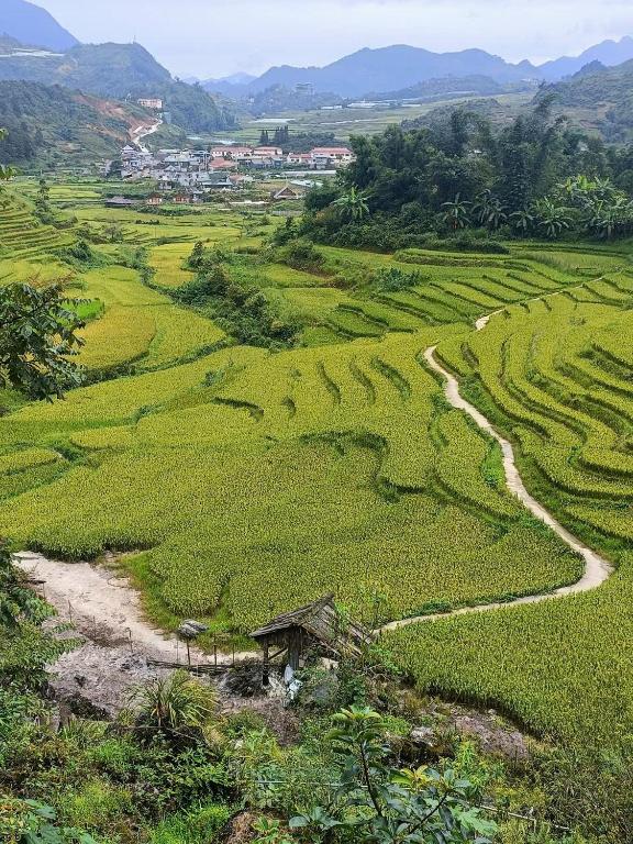 Homestay Núi Đá Tả Phìn - B&B Sa Pa