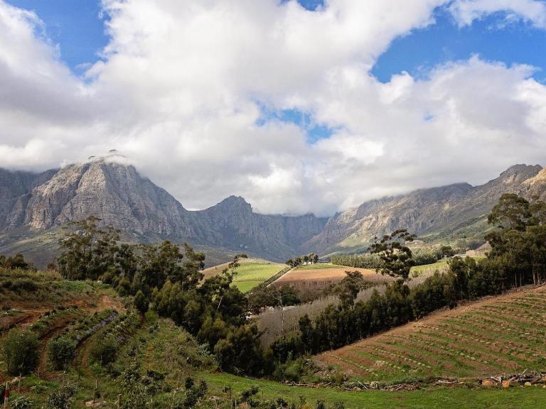Camissa Farm - Chambres d'hôtes Stellenbosch