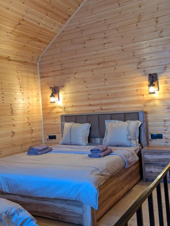 cottage nikolozi - Bed and Breakfast Stepantsminda