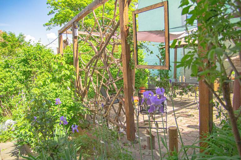 Lupeni Alley cozy central apartment&private garden - B&B Braşov