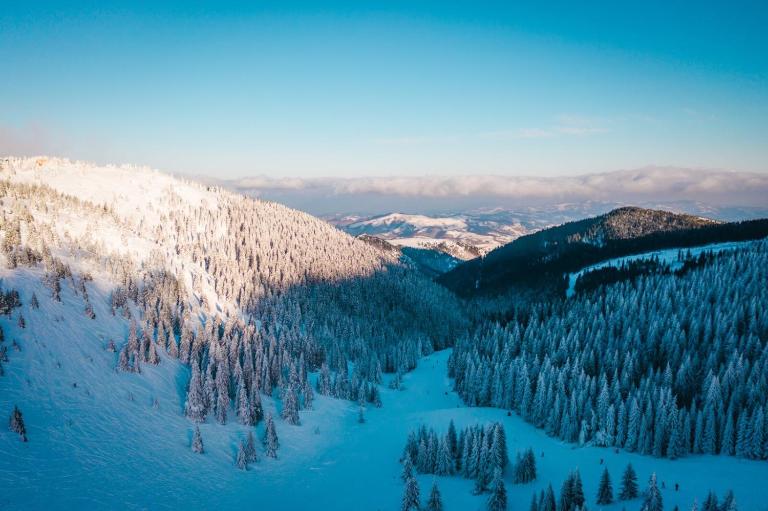 Apartment Treska Kop - B&B Kopaonik