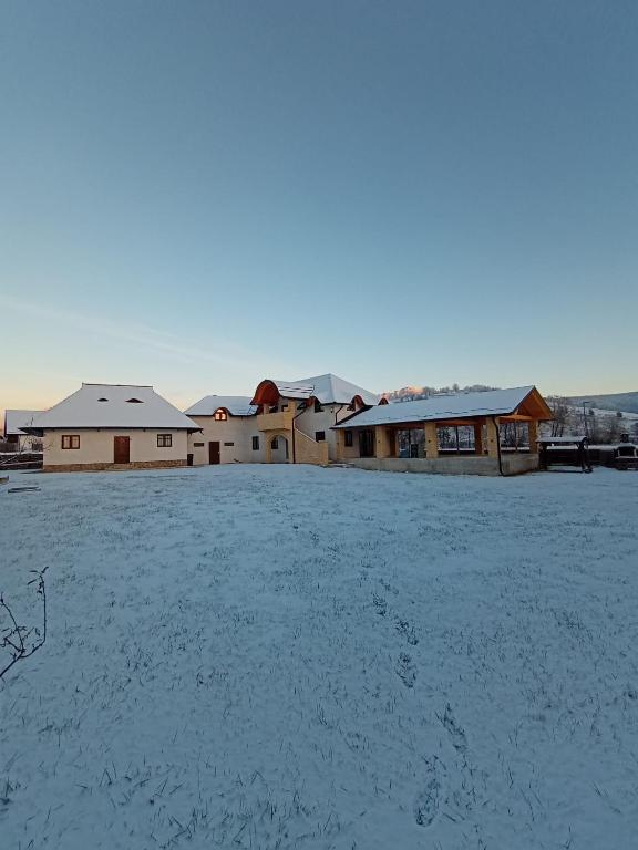 Casa Delia - B&B Mănăstirea Humorului
