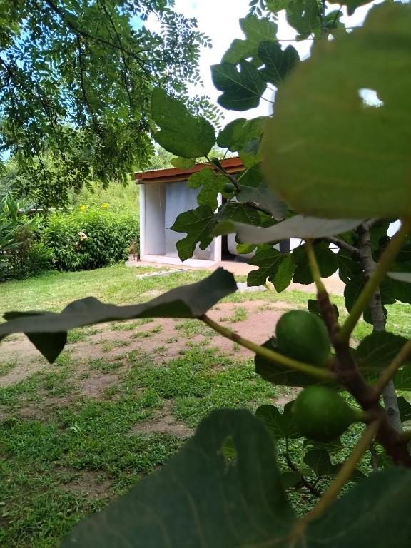 Che Sy ha Che Ru - Bed and Breakfast Cosquín