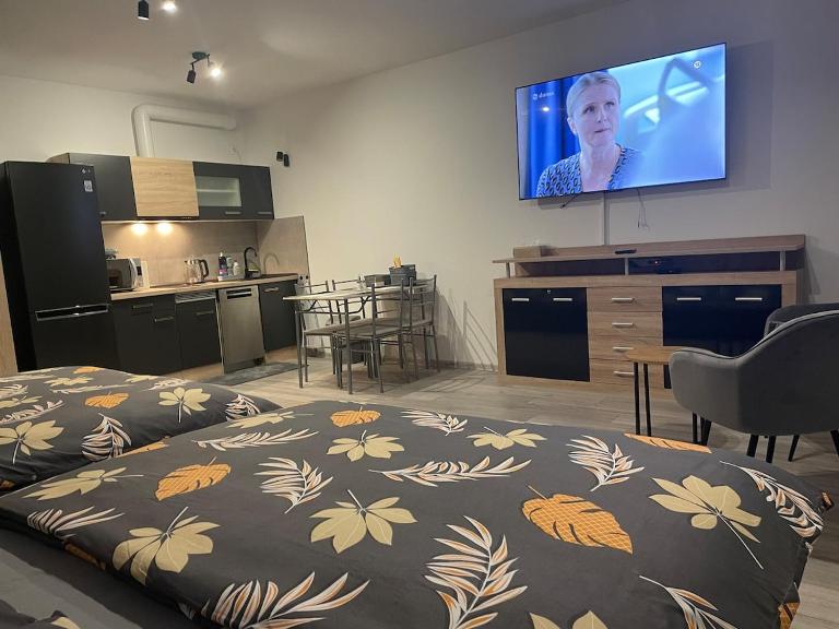 1-room apartment center Rajecké Teplice - B&B Rajecké Teplice