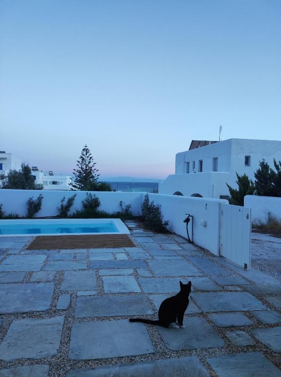Tzitziki - B&B Piso Livadi