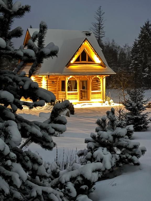 Luxury chalet WRÓBLOWA CHAŁUPKA przy Dolinie Chochołowskiej - B&B Kościelisko