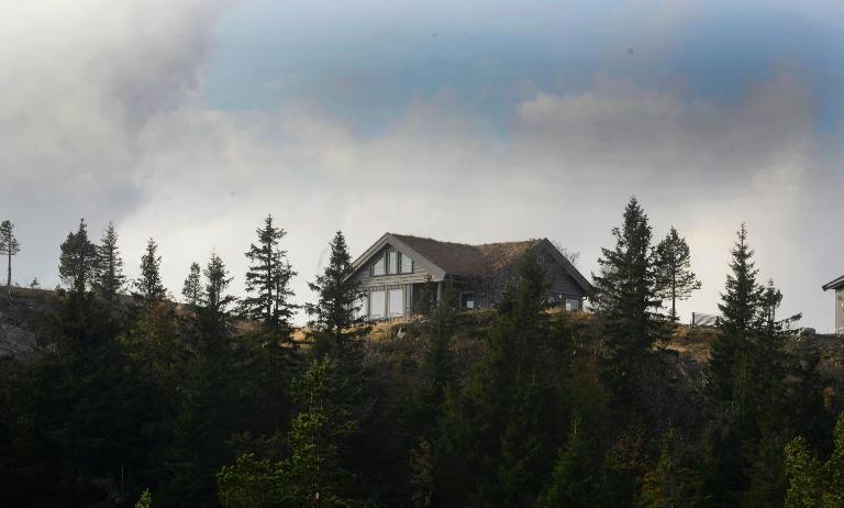 Falkeblikk-Mountain cabin with majestic views - Bed and Breakfast Bø