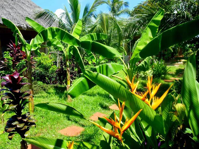 Michael's Native Homestay - B&B Maricaban